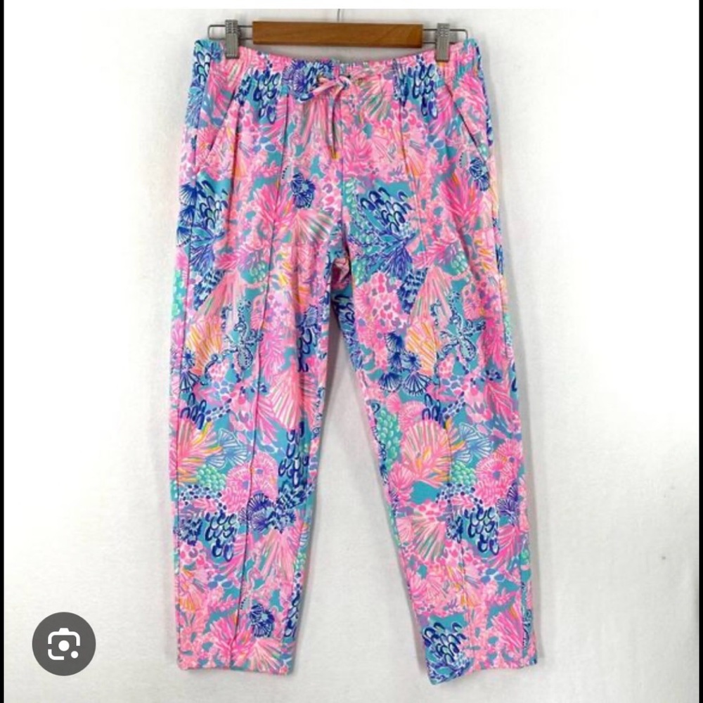Lilly Pulitzer Pink and Blue Floral Pants Size XL